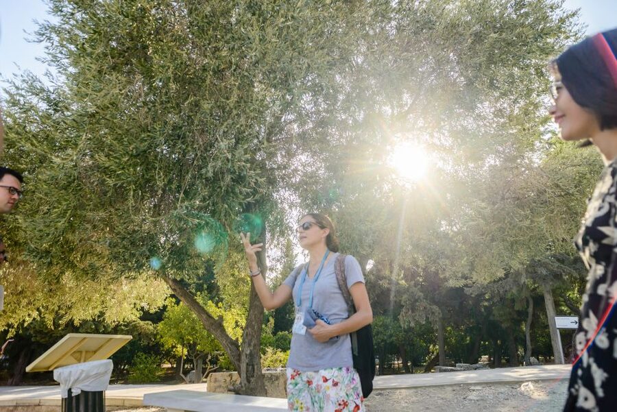 Acropolis: Acropolis and Parthenon Guided Walking Tour - Why this Acropolis tour works well in a short Athens visit