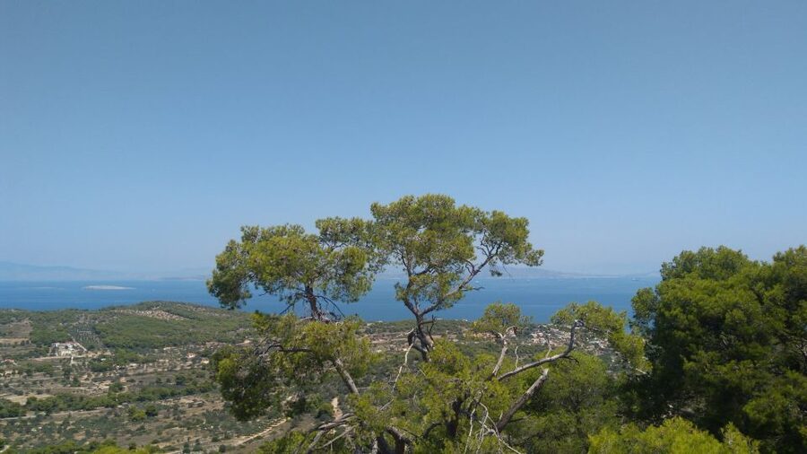 Aegina Island & Temple of Athina Aphaia Private Day Tour - Timing, comfort, and practical limits
