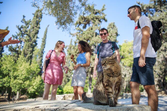 Athens Acropolis and Parthenon Walking Tour - Meeting the Parthenon face to face