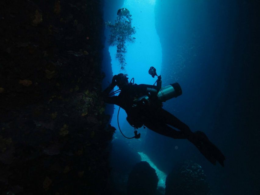 Athens: Adventure Dives in Nea Makri for Certified Divers - Who should book this experience