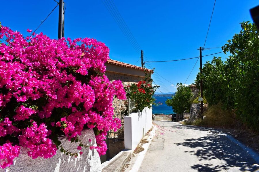 Athens: Agistri, Metopi & Aegina Cruise with Meals & Drinks - Swimming Near Moni or Metopi