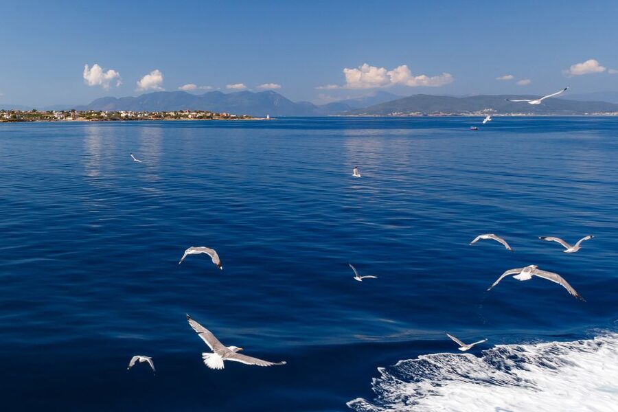 Athens: Guided Day Trip to Aegina Island with Swimming - Aegina town, pistachios, and free time
