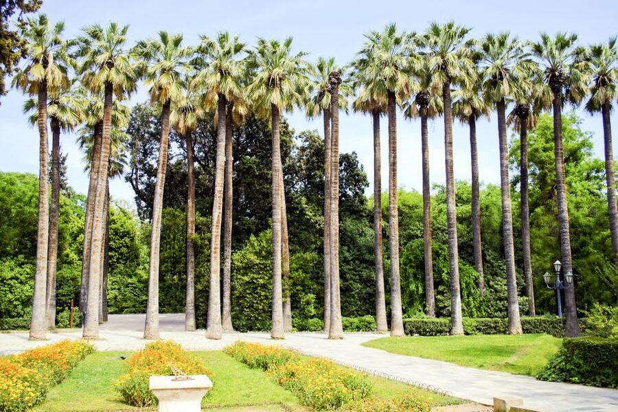 Athens Instagram Tour: The Most Scenic Spots - Why this Athens photo walk works so well