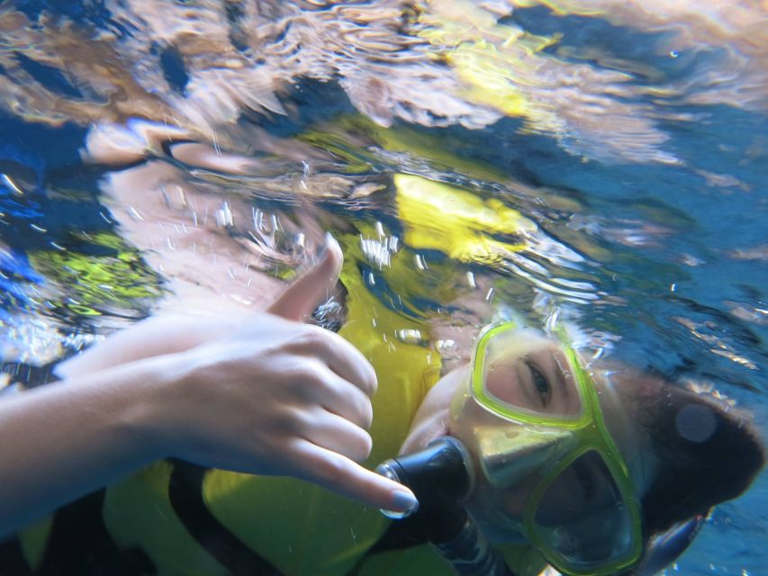 Athens: Private Cruise with Snorkeling and Swimming - Arsida, Pothitos, Fleves, and the island choices