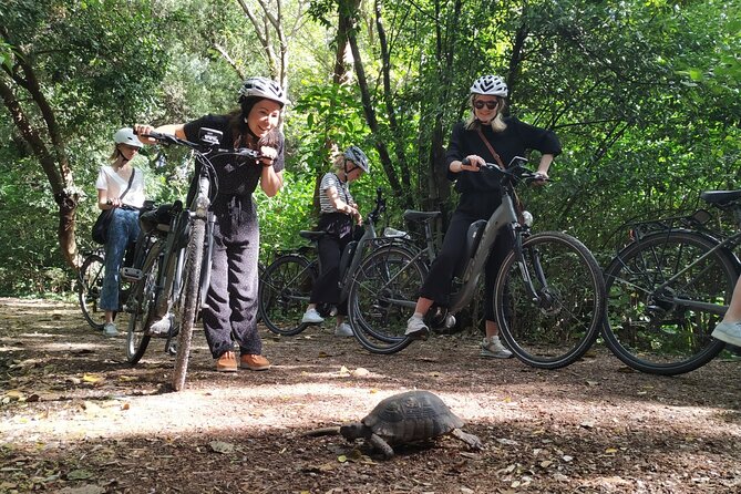 Athens Small Group Electric Bike Tour - The Panathenaic Stadium makes a memorable eastern stop