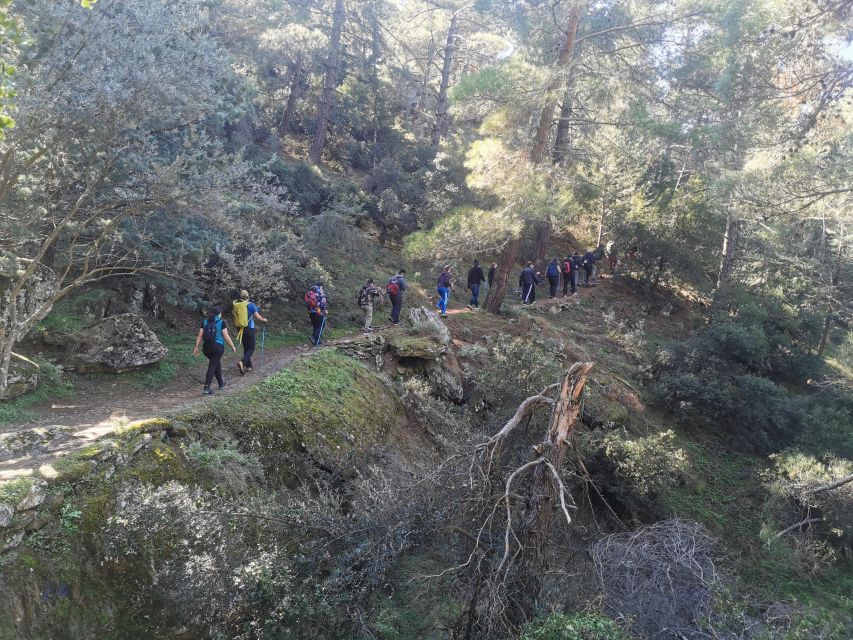 Athens Sunset Hike - What the guides add to the walk