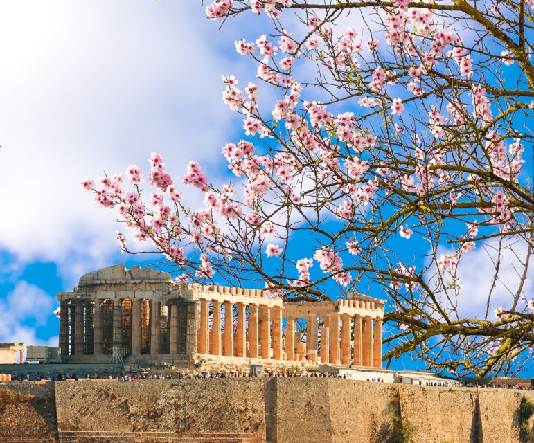 Athens: Top Sights Private Half-Day Tour - The Odeon and the New Acropolis Museum