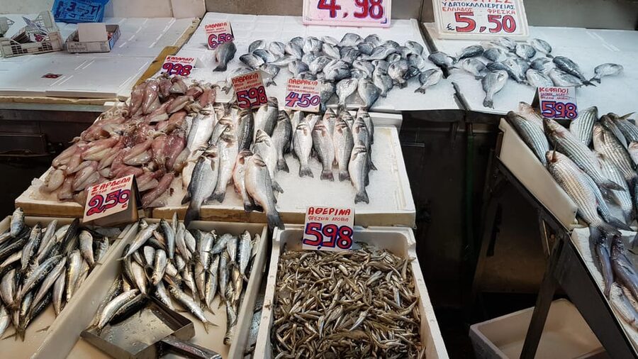 Athens: Traditional Greek food tour in hidden spots - What the guide adds to the food