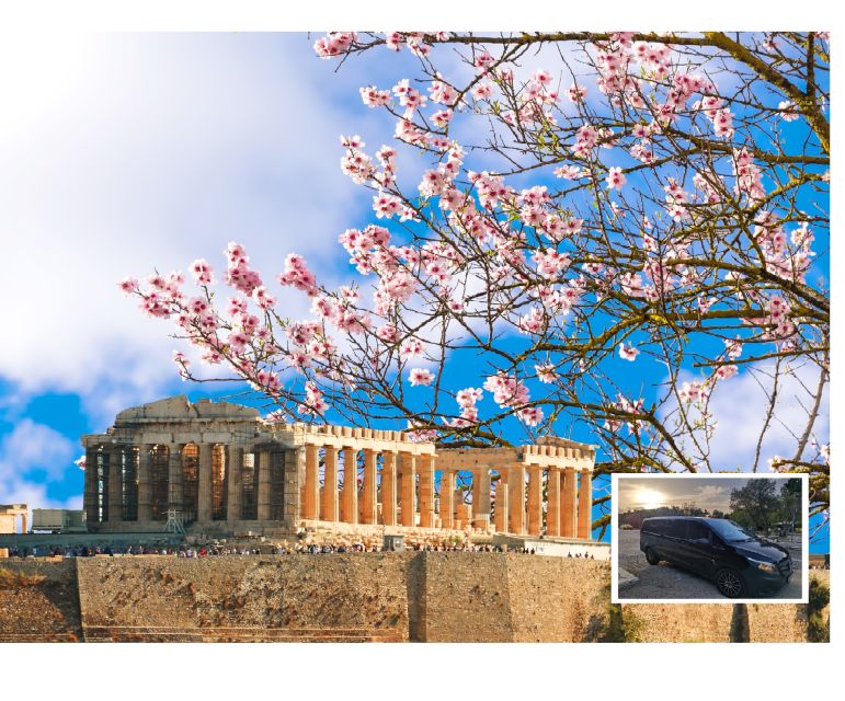 Athens: Wheelchair accessible Top Sights Half-Day Tour - The Archaeological Museum offers a strong alternative