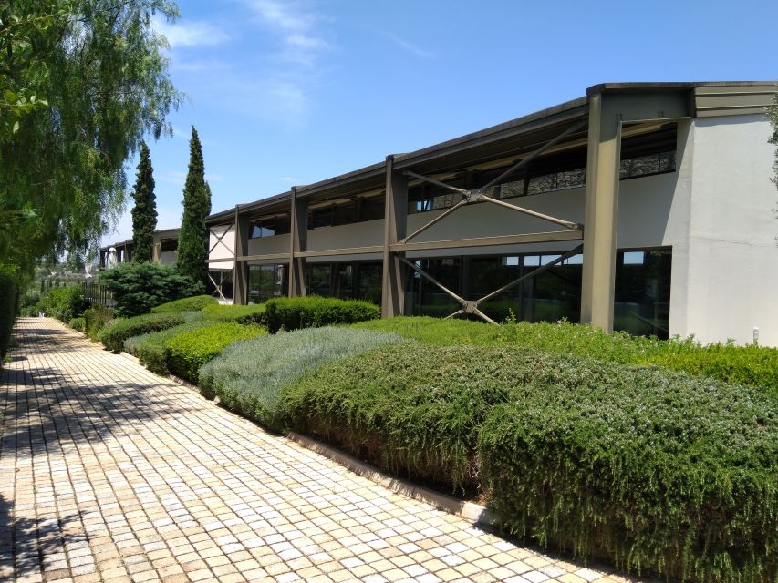 Athens Winery Tour - Three wines, three useful introductions