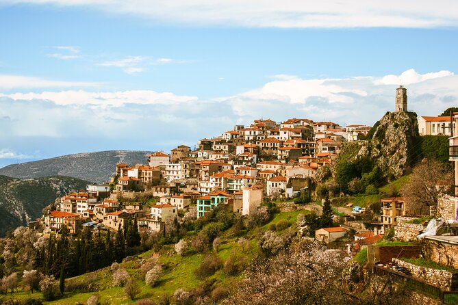 Delphi full day V.R audio guided tour with entry ticket - Price, entry fees, and what you get