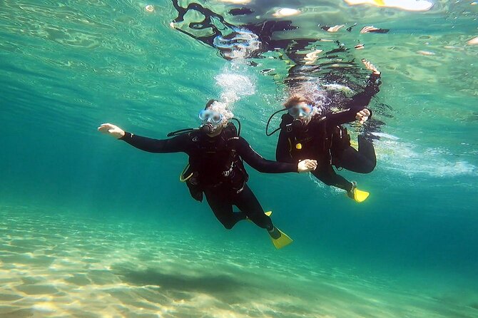Discover Small Group Scuba Diving Experience in Nea Makri, Athens - Who should choose this beginner session