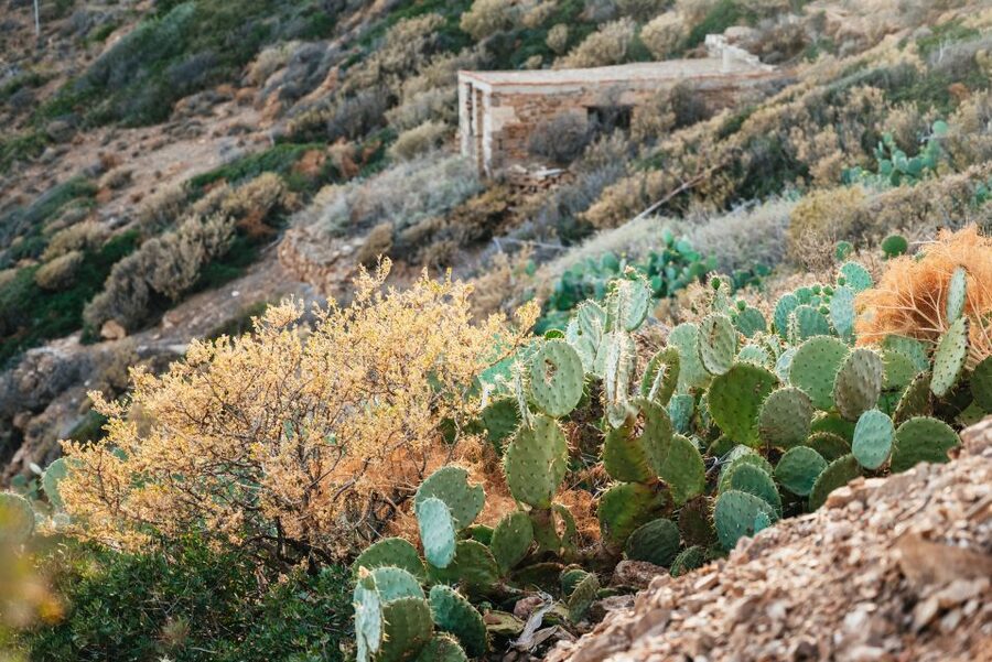 From Athens: Cape Sounion & Temple of Poseidon Half Day Tour - Anavyssos gives the summer tour a beach break