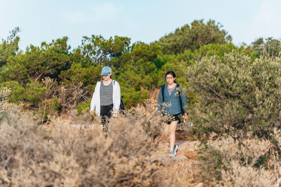 From Athens: Cape Sounion & Temple of Poseidon Half Day Tour - What the guides add to the experience