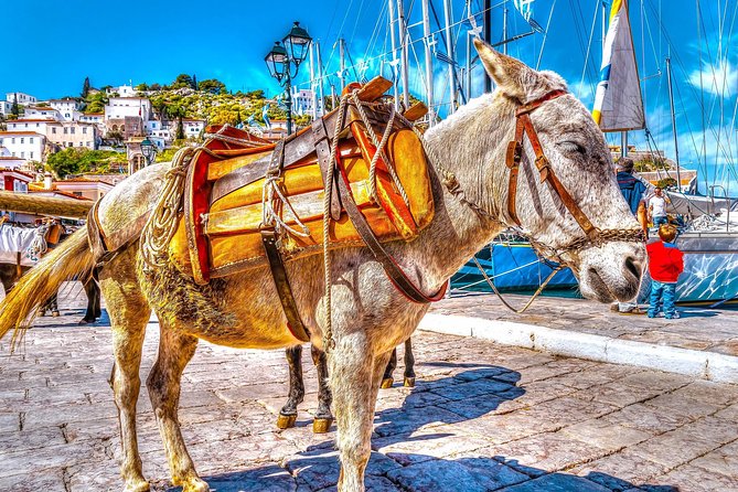 From Athens: Hydra, Poros, and Aegina Day Cruise with Lunch - Three islands, one very long day