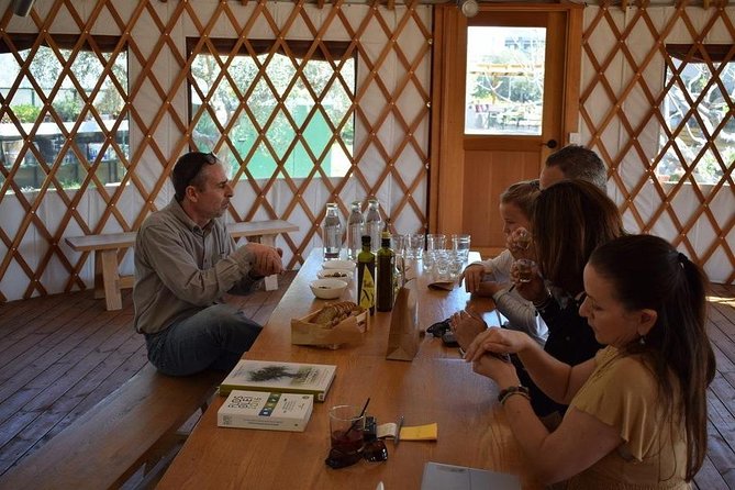 From Athens: Olive Oil Tasting, Olive Grove & Wine Experience - The farm setting adds more than a tasting room