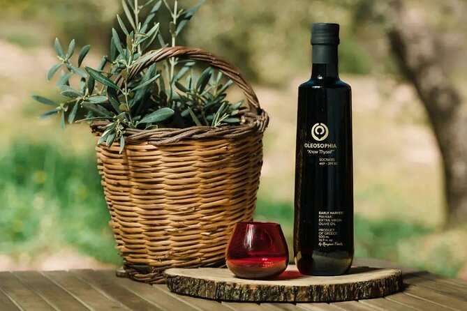From Athens: Olive Oil Tasting, Olive Grove & Wine Experience - Walking through the olive groves