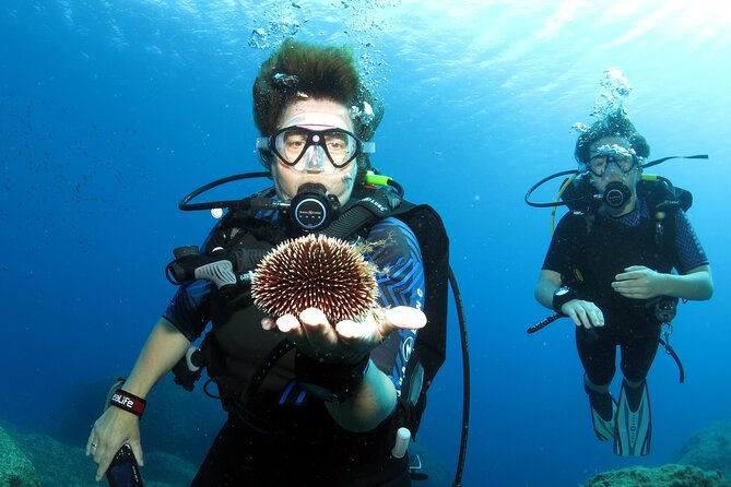 Private Discover Scuba Diving for Beginners in Athens with Pickup - Is $203.70 a fair price?