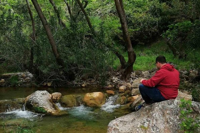 Private Off-Road Tour Marathon Lake and Mountain from Athens - Olive groves, forest tracks, and a quieter side of Attica